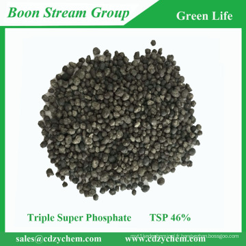 46% P2O5 Triple Super phosphate / TSP prix des engrais